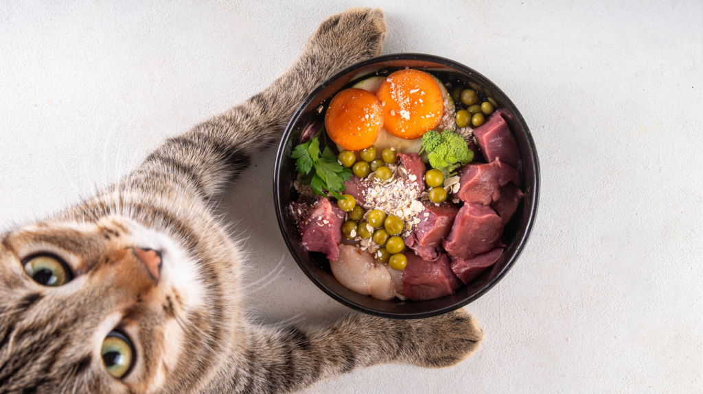 Health and wellness for pets?>